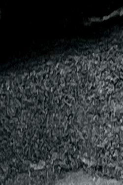 Intro