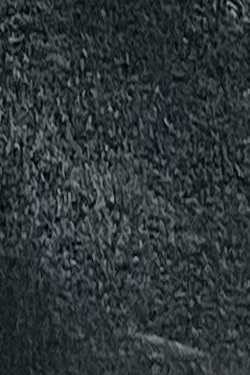 Placeholder tile 25