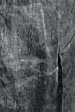 Placeholder tile 39